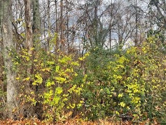 0 S Mission Ridge Dr Unit 1504695, Rossville, GA 30741