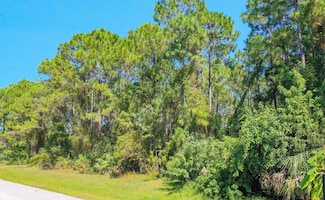 31 Karmain Rd, North Port, FL 34288