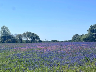 TBD 119 Fm 1227, Navasota, TX 77868