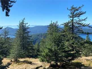 247 Old Growth Ln, Eastsound, WA 98245