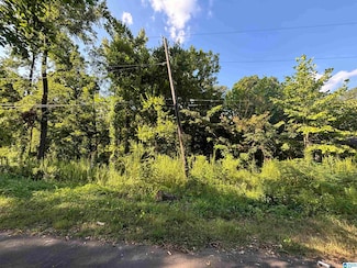 926 Navarro Ln Unit 926, Birmingham, AL 35235