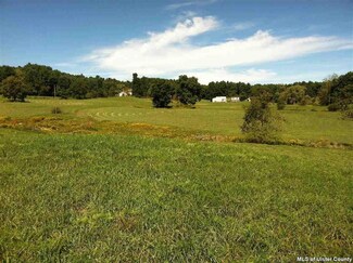 356 Ira Vail Rd, Cairo, NY 12413