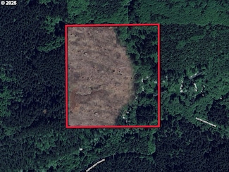 0 Buster Creek Mainline, Seaside, OR 97138