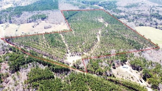 000 County Road 162, Brilliant, AL 35548