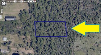 00000 No Access - Ne of Weber&reese Rd, Malabar, FL 32950