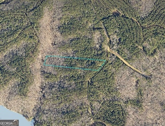 LOT 11 Blackberry Bend, Elberton, GA 30635