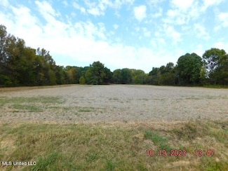 00 Dean Rd, Nesbit, MS 38651
