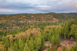 0 Aurora Ln Unit 224127504, Pollock Pines, CA 95726