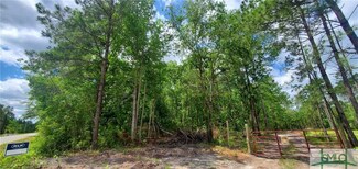 0 Nixon Chapel Unit 268577, Springfield, GA 31329