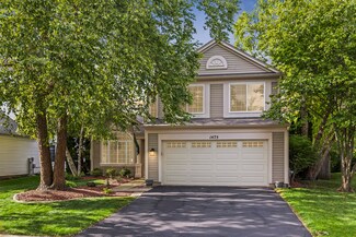 1475 E Braymore Cir, Naperville, IL 60564