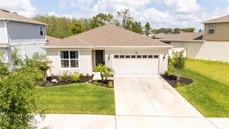 9771 Brown Burrow St, Orlando, FL 32829