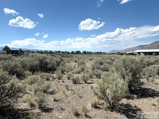 TBD Gilmore Ave, Leadore, ID 83464
