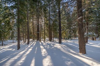 13985 Ski View Loop, Truckee, CA 96161