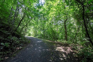 0 E Buffalo Rd Unit 150194, Robbinsville, NC 28771