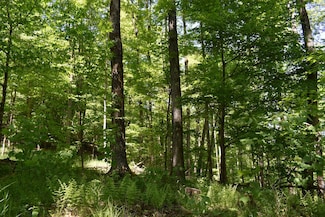 267 Indian Creek Rd, Eldred, PA 16731