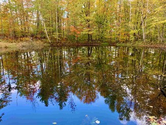 00 Glebe Rd N, Ludlow, VT 05149