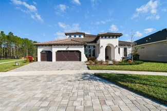 16165 November Rain Ct, Land O' Lakes, FL 34638
