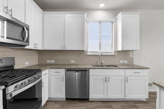 10202 Buckskin Horse Way, Manor, TX 78653