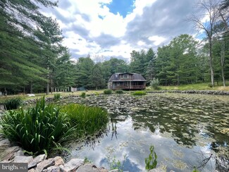 1550 Mine Spring Rd, Upper Black Eddy, PA 18972