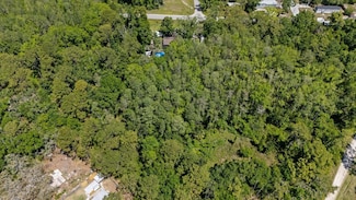12981 Ocasta Ave, New Port Richey, FL 34654