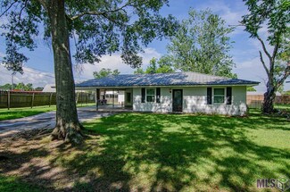 12033 R C Mendoza Rd, Saint Amant, LA 70774
