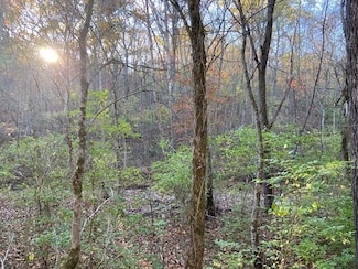 320 Old Carntown Rd, Foster, KY 41043