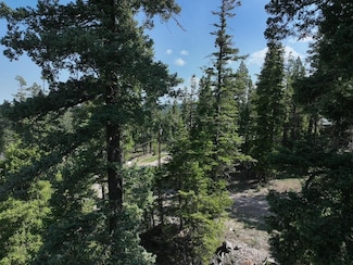 1206-08 Jim Tom Ct Unit 9,10, Cloudcroft, NM 88317