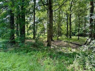 Lot 1 Hunterwood Dr, Jasper, TX 75951