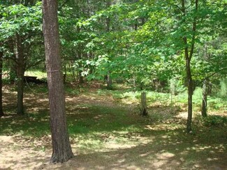 Lot 24 Cth Y, Hazelhurst, WI 54531