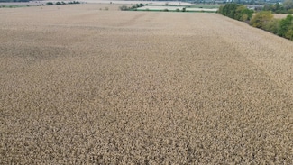 152 Acres Hwy 63, Bloomfield, IA 52537