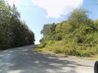 0 Mountain Rd, Coloma Charter Township, MI 49038