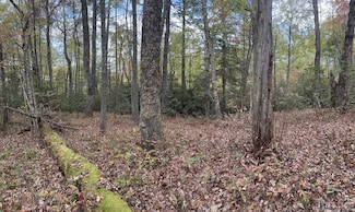 lot 55 Lupton Rd, Sapphire, NC 28774