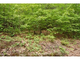 0 Cressy Rd Unit 2769421, Bradford, NH 03221