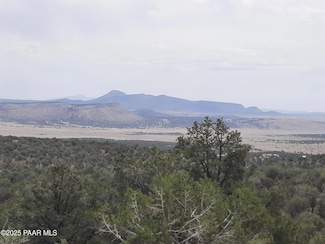 49203 N Sundance Way, Seligman, AZ 86337