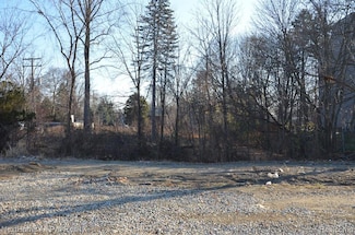 328 N Center St, Northville, MI 48167