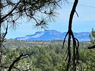 20127 Blue Jay Ln Unit 114, Weston, CO 81091