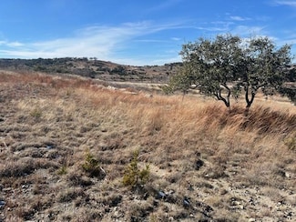 Lot 137 Falling Oak Dr Unit 137, Blanco, TX 78606