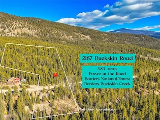 2167 Buckskin St, Alma, CO 80440