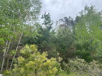 0000 Radov Rd, Hay Township, MI 48624