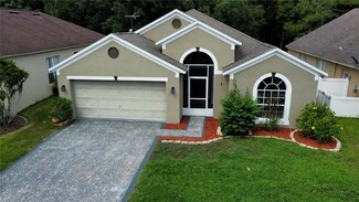 29719 Birds Eye Dr, Wesley Chapel, FL 33543