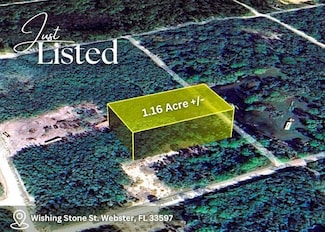0 Wishing Stone St Unit R11061326, Webster, FL 33597