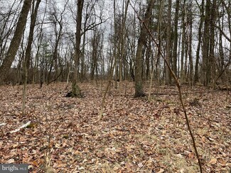 Lot 121 Two Mile Rd, Howard, PA 16841