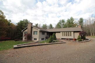 192 Monkey Run Rd, Port Crane, NY 13833