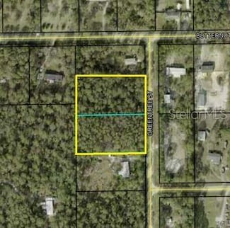 2610 & 2578 Greentree St, Bunnell, FL 32110