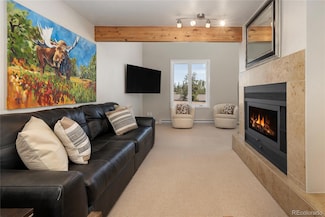821 Wolverine Ln Unit D, Fraser, CO 80442