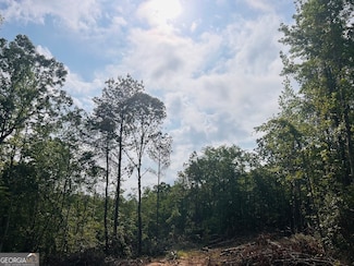 0 Vernon Town Rd, West Blocton, AL 35184