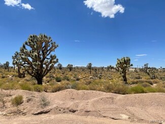 27351 N Apple Dr, Meadview, AZ 86444