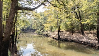 TBD S Alley St Unit Big Cypress River, Jefferson, TX 75657