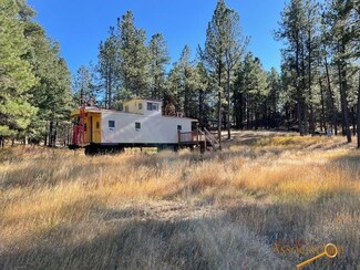 12794 Wolframite Rd, Keystone, SD 57751