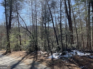 0 Pinecrest Rd Unit 10441953, Sautee Nacoochee, GA 30571